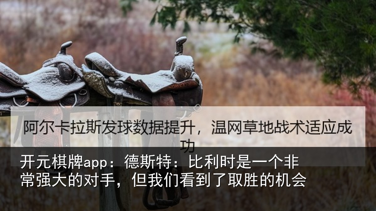 开元棋牌app:德斯特:比利时是一个非常强大的对手,但我们看到了取胜的机会