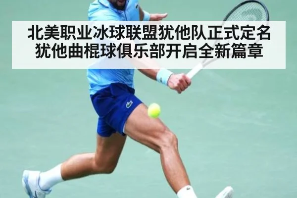 北美职业冰球联盟犹他队正式定名犹他曲棍球俱乐部开启全新篇章